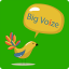 icon android Big Voize