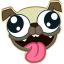 icon android Pug Rapids