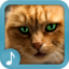 icon android Meowing Cat Sounds