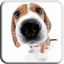 icon android Dog Licks Screen LWP Free