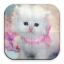 icon android Cats Puzzle