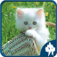 icon android Cat Jigsaw Puzzles