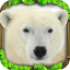 icon android Polar Bear Simulator