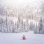 icon android The most beautiful pictures and backgrounds for winter and snow