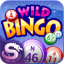 icon android Wild Bingo