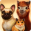 icon android PetHotel - My animal boarding