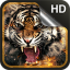 icon android Tiger Live Wallpaper HD