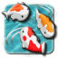 icon android Feed the Koi fish Kids Game