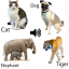 icon android Animal sounds-Kids Game