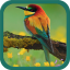 icon android Birds Ringtones