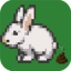 icon android Bunny Poop