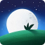 icon android Relax Melodies: Sleep and Yoga