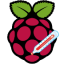 icon android RasPi Check