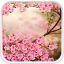 icon android Spring Flowers Live Wallpaper