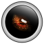 icon android Stalker 1 LITE