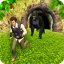 icon android Run Jungle Adventure