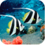 icon android Aquarium Free