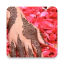 icon android Mehndi Designs