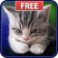 icon android Sleepy Kitten Live Wallpaper