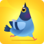 icon android Pigeon Pop