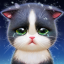 icon android Kitten Match