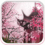 icon android Sakura Live Wallpaper