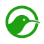 icon android Kiwi