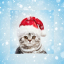 icon android Christmas Pho.to Frames