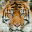 icon android Puzzle Zoo