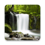 icon android Relax Forest