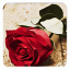 icon android Roses Live Wallpaper