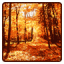 icon android Autumn Wallpaper