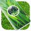 icon android Grass Clock Live Wallpaper