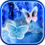 icon android Butterflies Live Wallpaper