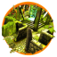 icon android The Maze Runner