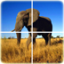 icon android Animal Puzzle