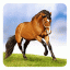 icon android Horses Live Wallpaper