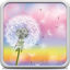 icon android Dandelion Live Wallpaper