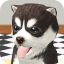 icon android Dog Simulator