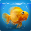 icon android iQuarium