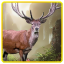 icon android Wolf Hunting Deer Hunters 2014