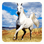 icon android Horse Live Wallpaper