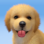 icon android My Dog