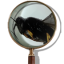 icon android Magnifying Glass