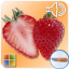 icon android Learn Fruits Cards