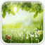 icon android Green Spring Live Wallpaper