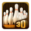 icon android Pocket Bowling 3D