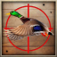 icon android Duck Hunting Seassson