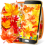 icon android Autumn live wallpaper