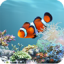 icon android aniPet Aquarium LiveWallpaper